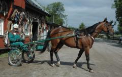 Pasha-20110622