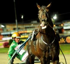 Omega Boko och Björn Goop höll tungorna rätt i mun när de vann som hårt betrodda från bricka elva 16 september 2009. Trots det drog utdelningen på V64 över tio miljoner kronor.