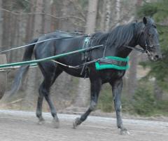 Panne111130-4