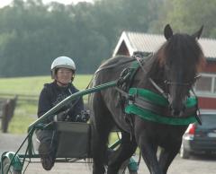 Panne