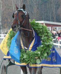 One Too Many vann Breeders Crown-finalen för 3-åringarn 2010. Foto; A.Lindblom/Travkompaniet