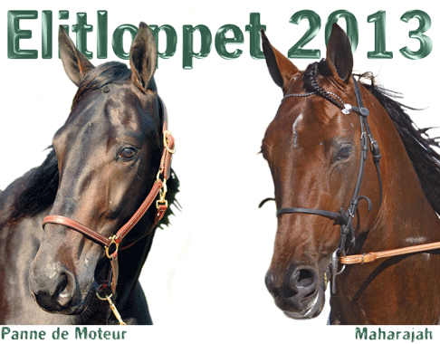 Elitlopp-201
