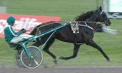 Panne-120705-10