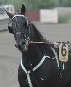 Panne-120705-6