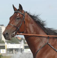 One-T-Many-100721-23