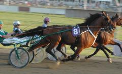 Quality-Queastioned-140708-5