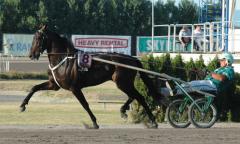 Jaded är laddad inför Sundsvall Open Trot. Foto: Travkompaniet