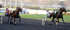 bourgogne1_081228_1674