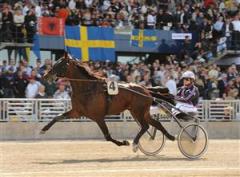 vasterbo_paradise_mh_090128_155513