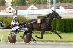 Tom Raider vann på måndagen sin årsdebut. Foto: Lars Jakobsson