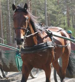 Malte_090520
