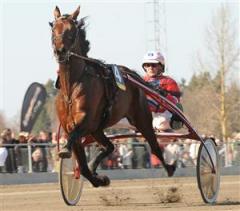 smashing-klipp-lj_090629_175052