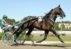 Elitloppet-2009-3-c.k