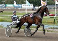 Adrian Chip och Robert Bergh styr kosan söderut för att försöka vinna Belgiens största travlopp. Foto: Claes Kärrstrand