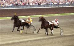 derbyt85_1_090902_11715