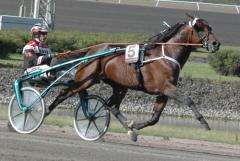 Maharajah och Örjan Kihlström stormar fram mot ännu en Derbytitel. Foto: Travkompaniet