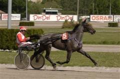 nellie_vingbones_090928_17644