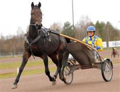 hilda-cd-banjobb-lj_091019_175820