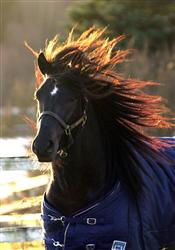 eldman_lj_091026_212351