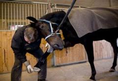opal_viking_nisse_tb_091118_16441