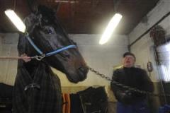 opalen-och-nisse-tr_100128_183727