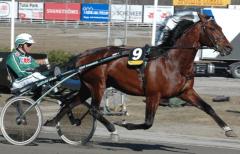 Torvald Palema vann "allt" 2009 och totalsegern i European Grand Circuit. Foto: Travkompaniet