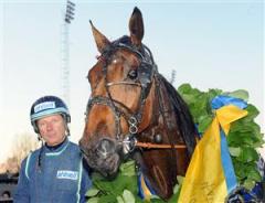 bobtailxstig_lj_100726_163326