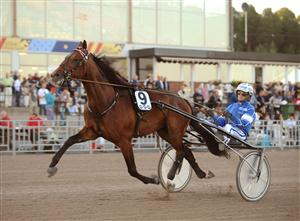 Västerbo Face It (här med Erik Adielsson) var Kolgjinis tredje E3-finalist som vann på ett bra sätt i försöket. Foto: Maria Holmén.