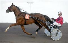 Juggle Face Foto: Kanal 75