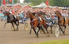 you_bet_hornline_lj_110109_202118