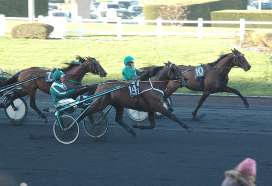 Kuskarna jobbade flitigt med körspön och tömmar upploppet ner i Prix De Belgique utom Örjan, han satt helt still. Foto; A.Lindblom/Travkompaniet