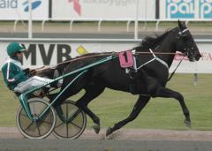 Panne De Moteur från spår ett i Breeders Crown-semifinal. Foto; A.Lindblom/Travkompaniet