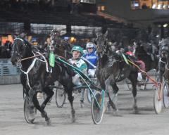 Panne De Moteur den sista biten in mot mål i semifinalen. Foto; C.Kärrstrand/Hingstfotografen