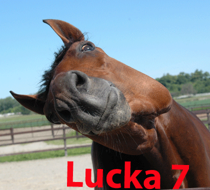 Lucka-7