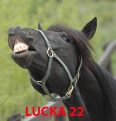 Lucka-22-7