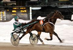 Maharajah sprintade ifrån konkurrenterna sista biten in mot mål. Foto;ALN