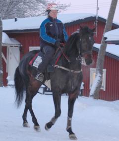 orre
