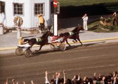 Ego Boy vinner Elitloppet 1973, före Flower Child.Foto av P&R AB