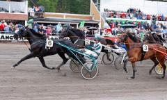 Orecchietti vinner Årjängs stora sprinterlopp. Foto; C.Kärrstrand/Hingstfotografen