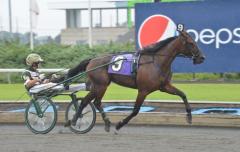 Nordamerikas främsta sto Maven och Yannick Gingras blir ett exotiskt inslag i Elitloppet 2014.                    	            	        	                   		                             Foto av Lars Jakobsson