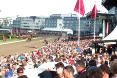 Stämningen på Solvalla i helgen var, varm, vacker och vänlig. Foto; A.Lindblom/Travkompaniet