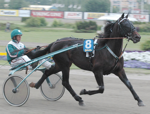 Orecchietti-100609-3