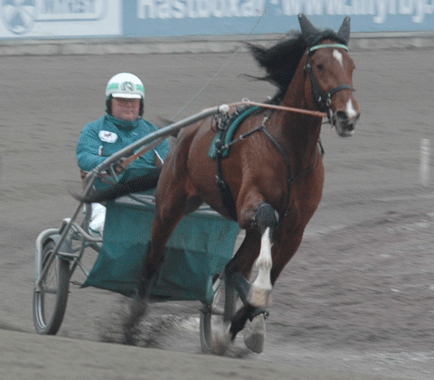 Foto: Annika Lindblom, Travkompaniet