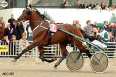 Jocose-4-jpg