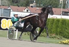 Lie Detector i en stilstudie i det träningspass hon gick på Solvalla inför den här starten.Foto: Annika Lindblom