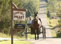 amish-5-lj_071009_122531