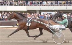 torvald_palema_mal118_071013_185253