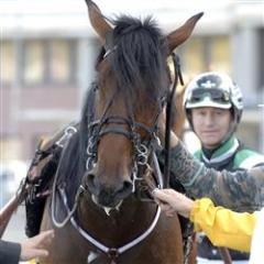 micro_mesh_och_johnny_takter_lj_071115_194536