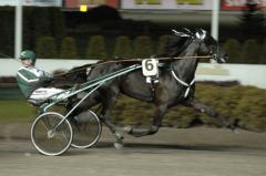 Lie Detector var strålande bra i årets sista seger, Wallenius Cup. foto: C. Kärrstrand