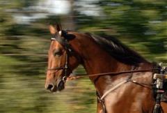 going_lj_080306_165523